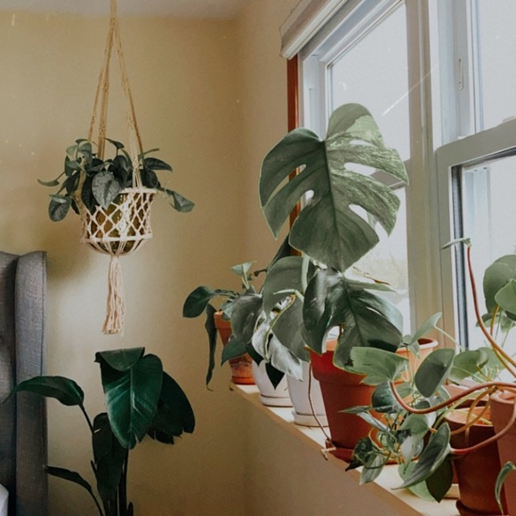 Meet your Posher, Lizzy - Picture 1 of 1